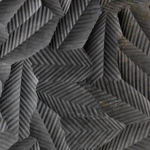 Ferns